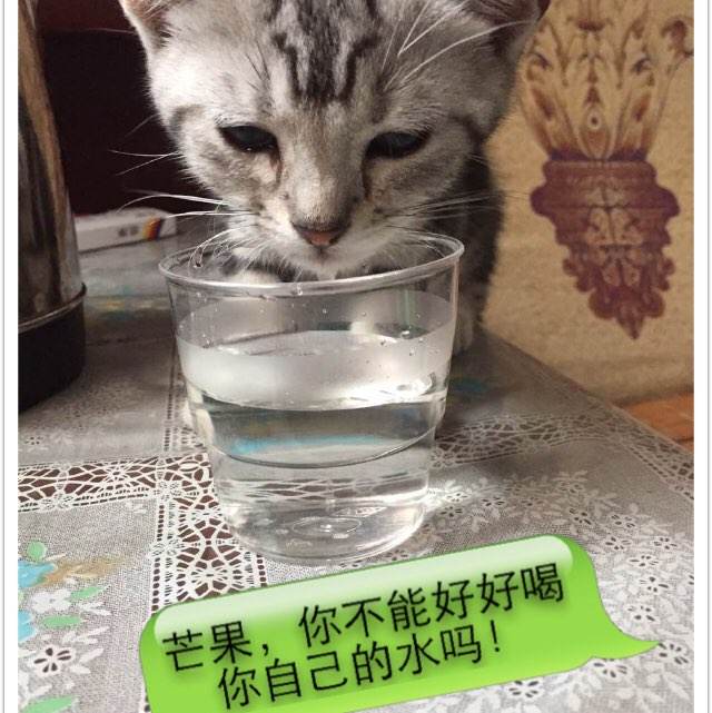 建设银行流水电子版PDF怎么定制